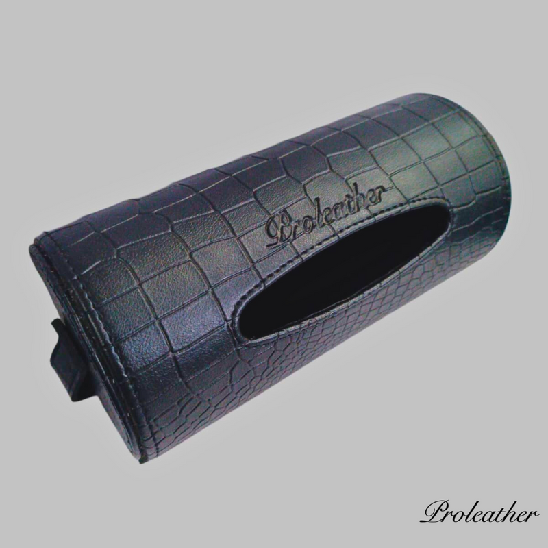 Car Tissue Holder