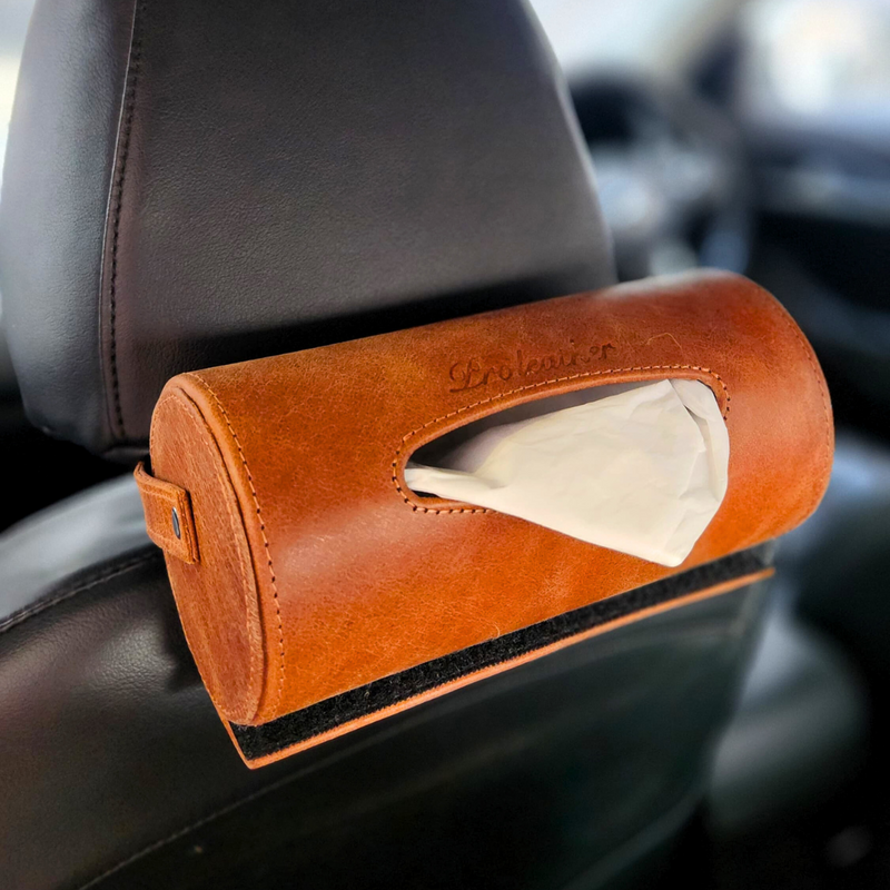 Car Tissue Holder