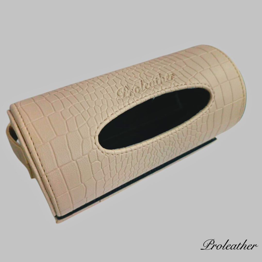 Car Tissue Holder