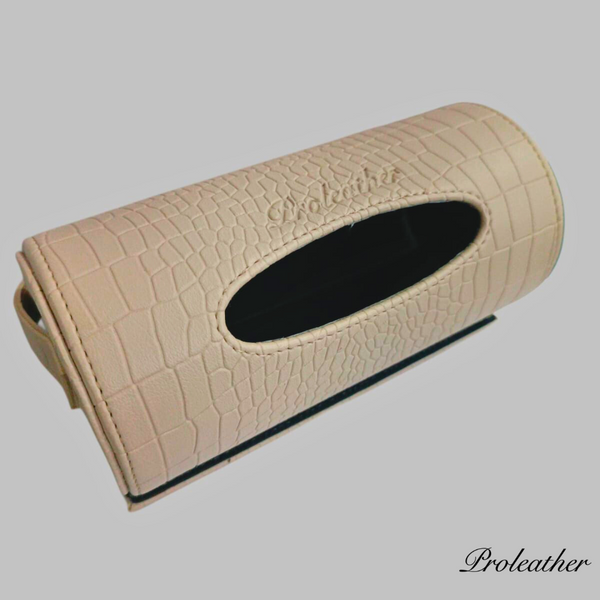 Car Tissue Holder