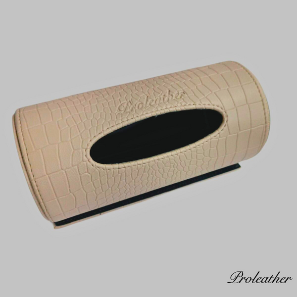 Car Tissue Holder