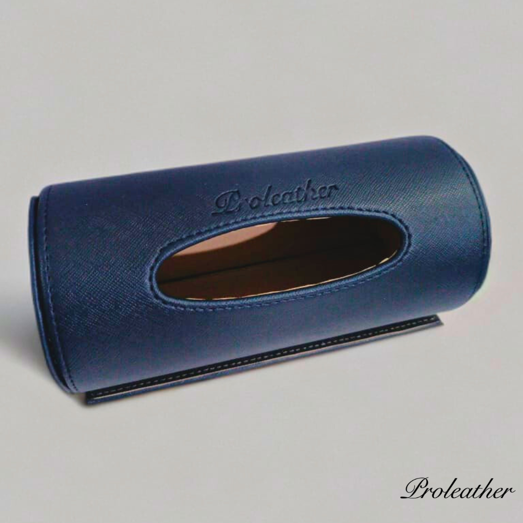 Car Tissue Holder