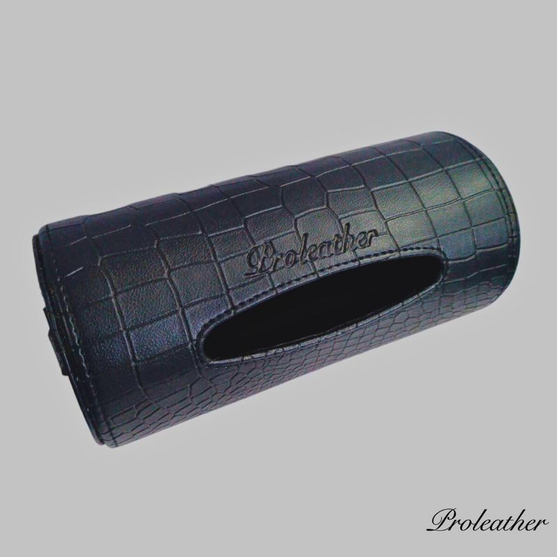 Car Tissue Holder